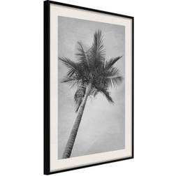 Arkiio Affisch High Palm Tree [Poster] 20x30 Poster